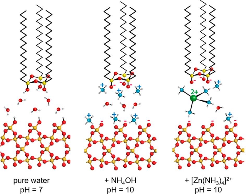 The Model Catalyst Advanced Photon Source